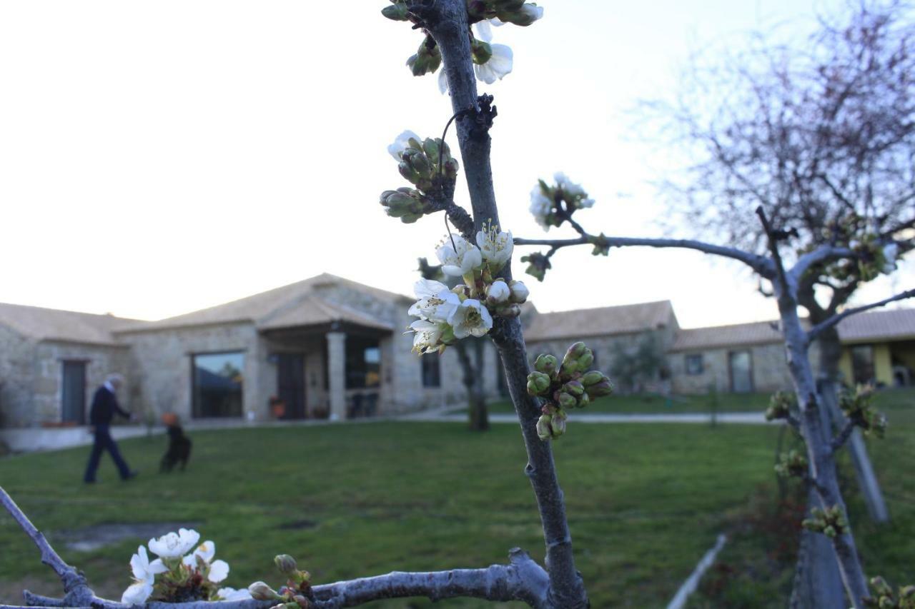 Quinta Da Ribeira Vila Belmonte  Exterior foto